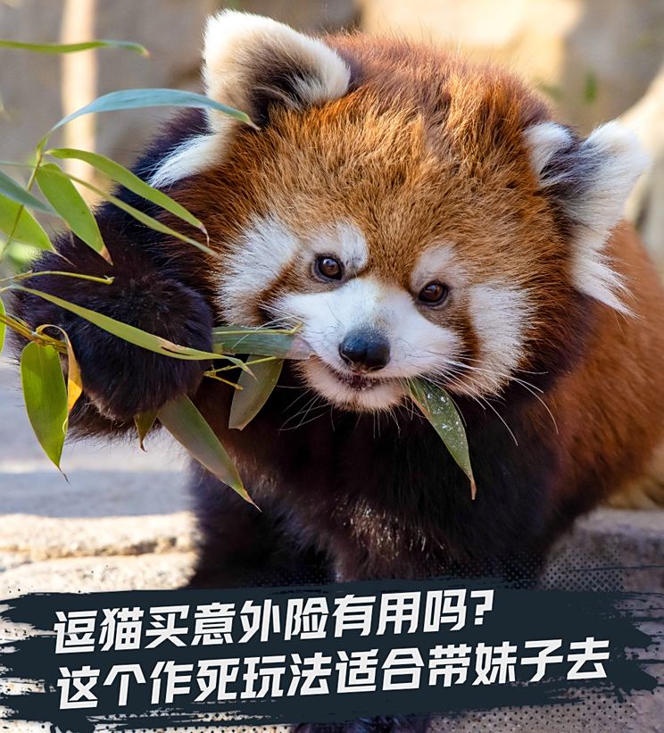 车讯
