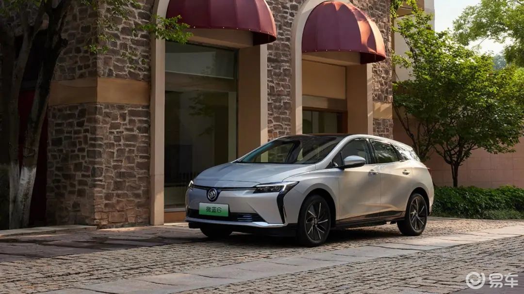 ID.3、秦PLUS EV、微蓝6，过年开哪款最安心？