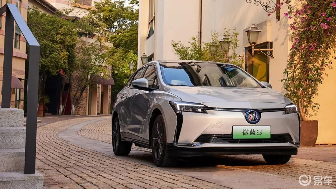 ID.3、秦PLUS EV、微蓝6，过年开哪款最安心？
